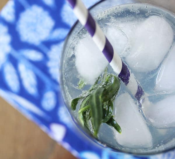 Overhead shot of Lemon Tarragon Spritzer with fresh tarragon sprig