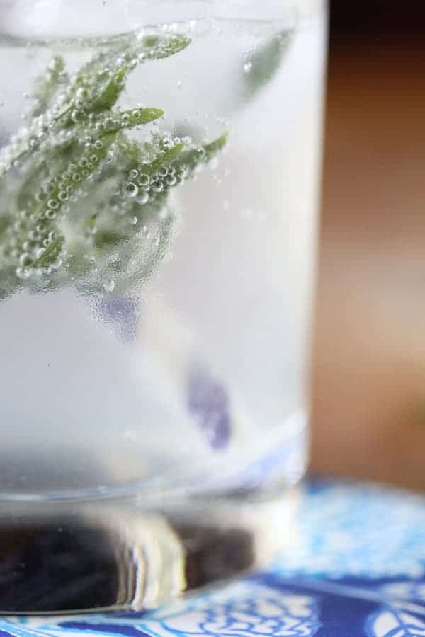 Close up shot of Tarragon sprig in the Spritzer glass