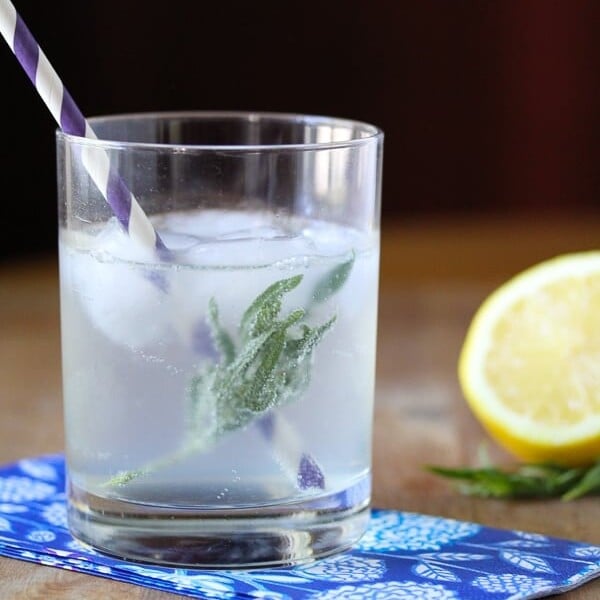 lemony tarragon spritzer in glass with cut lemon and straw