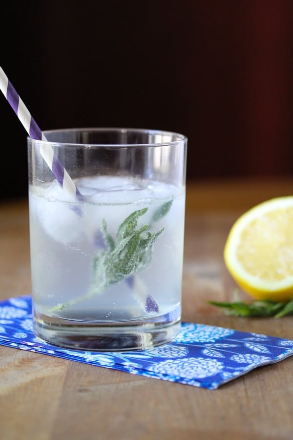LemonyTarragon Spritzers