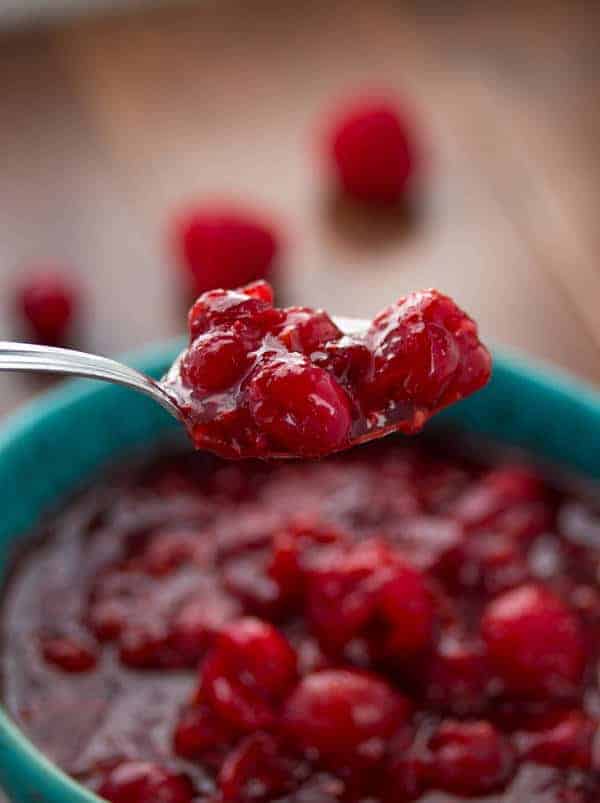 Close up shot of Cranberry Sauce on a spoon