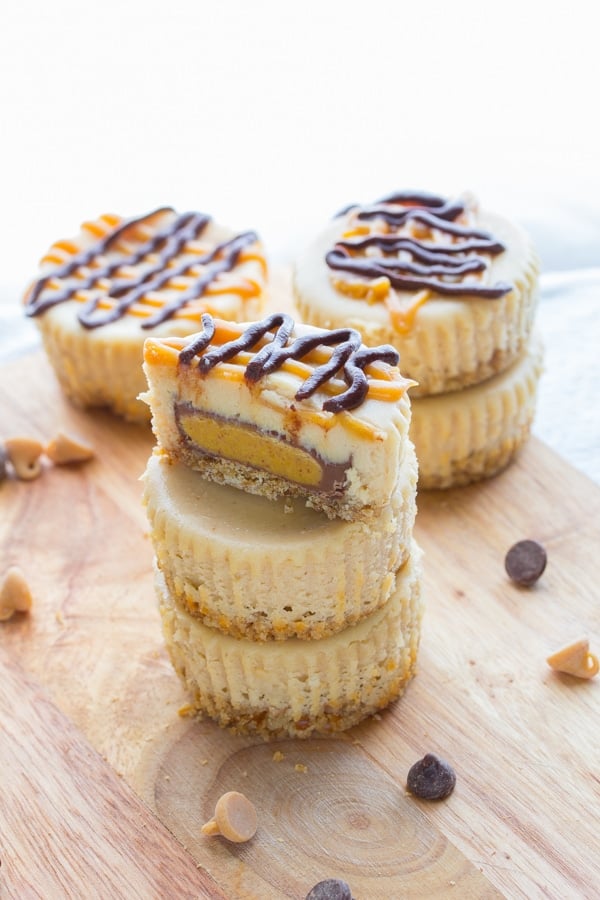 Mini Cheesecakes (Instant Pot) - Spice Cravings