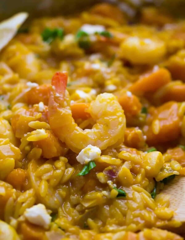 close up shot of shrimp and squash orzo