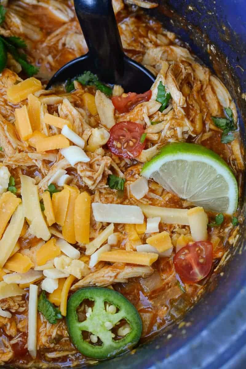 close up, overhead image of salsa chicken with a sliced jalapeno and lime wedge