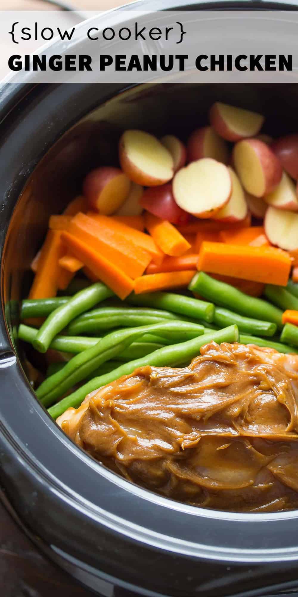 close up view of uncooked slow cooker ginger peanut chicken ingredients in slow cooker