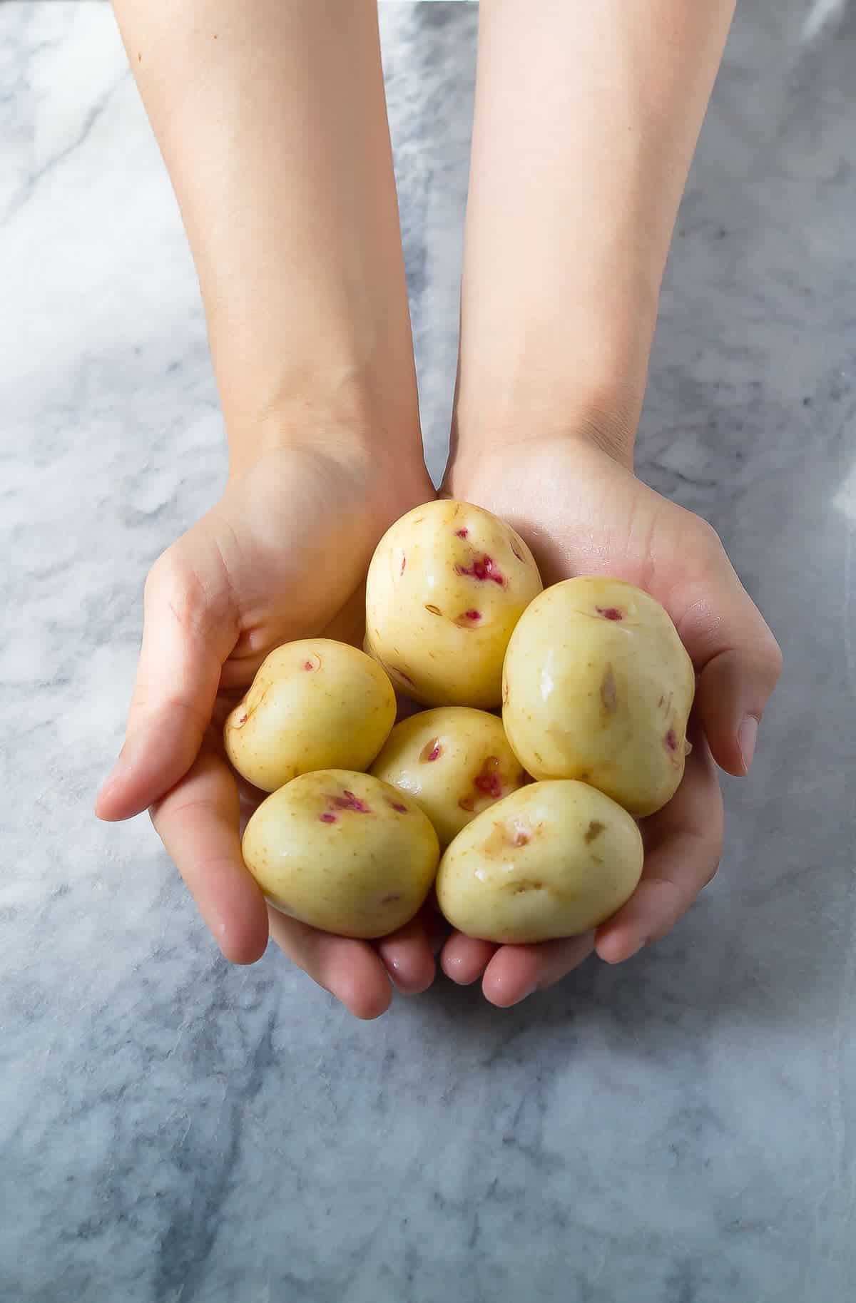 Hands full of white potatoes