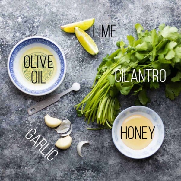 ingredients required for cilantro lime chicken marinade