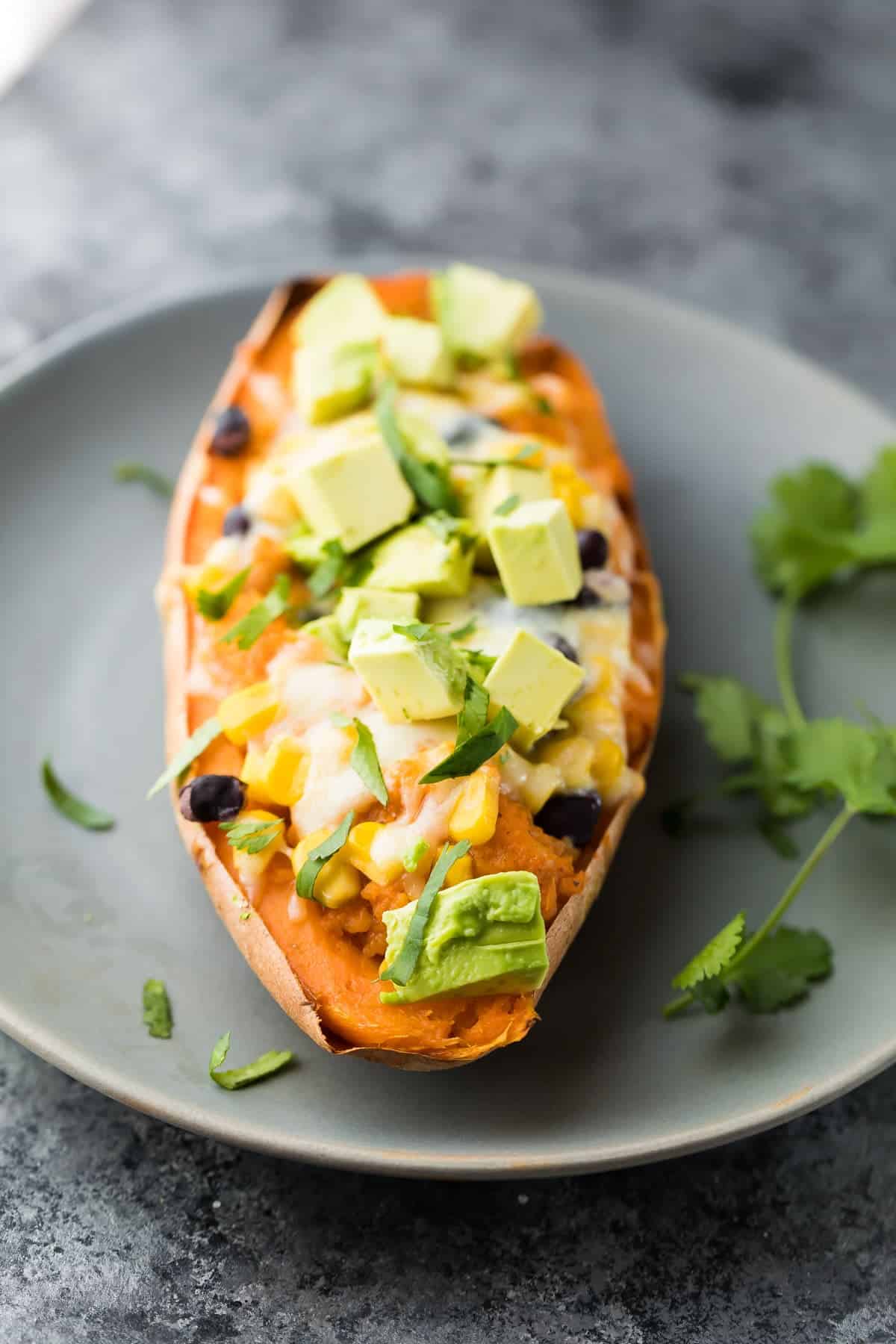 close up view of Enchilada Stuffed Sweet Potato on a gray plate with avocado chunks and cilantro leaves