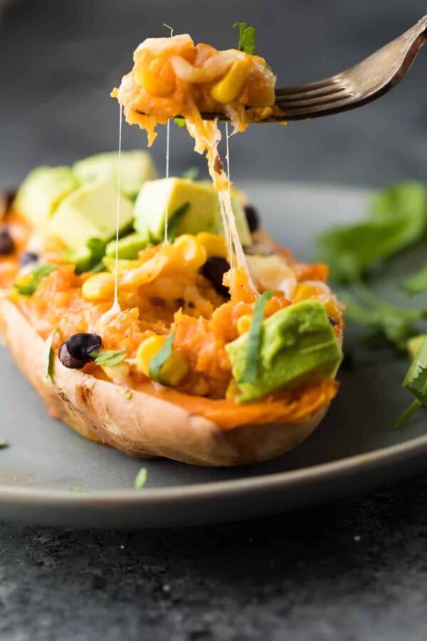 enchilada stuffed sweet potato on gray plate with fork taking a bite