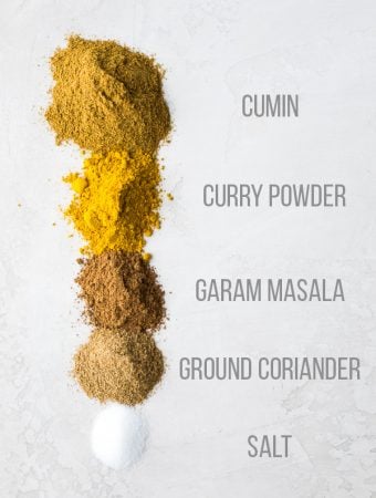 ingredients lined up for indian spice blend with labels on white background