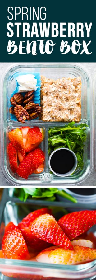 spring strawberry bento lunch boxes