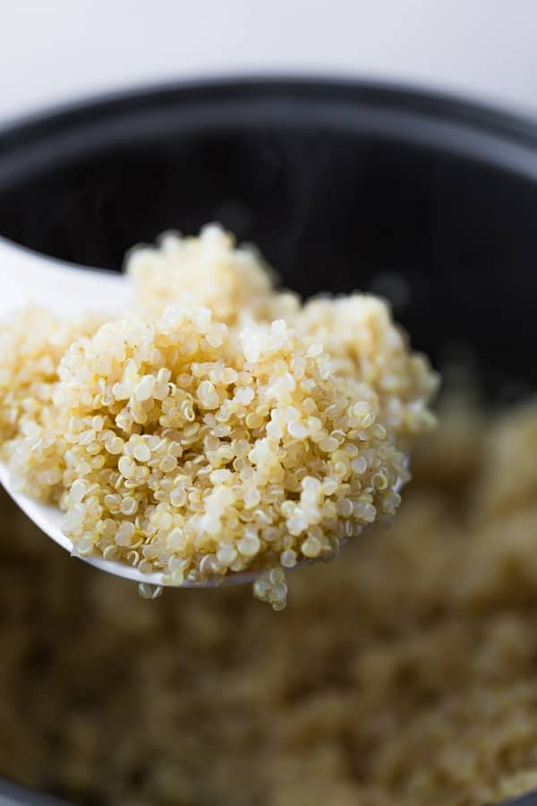 close up view of rice cooker quinoa