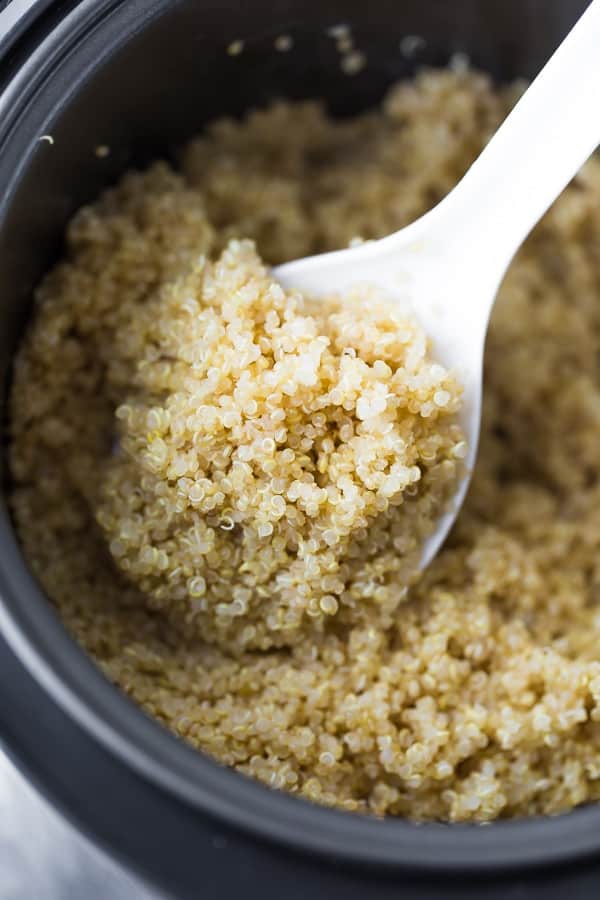 spoon of quinoa in a rice cooker