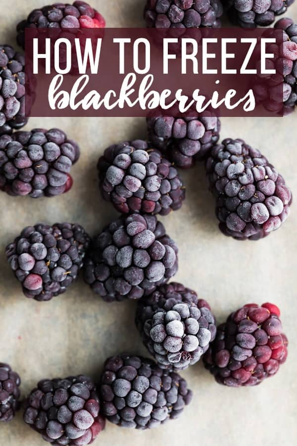 How to Freeze Blackberries: frozen blackberries arranged on baking sheet