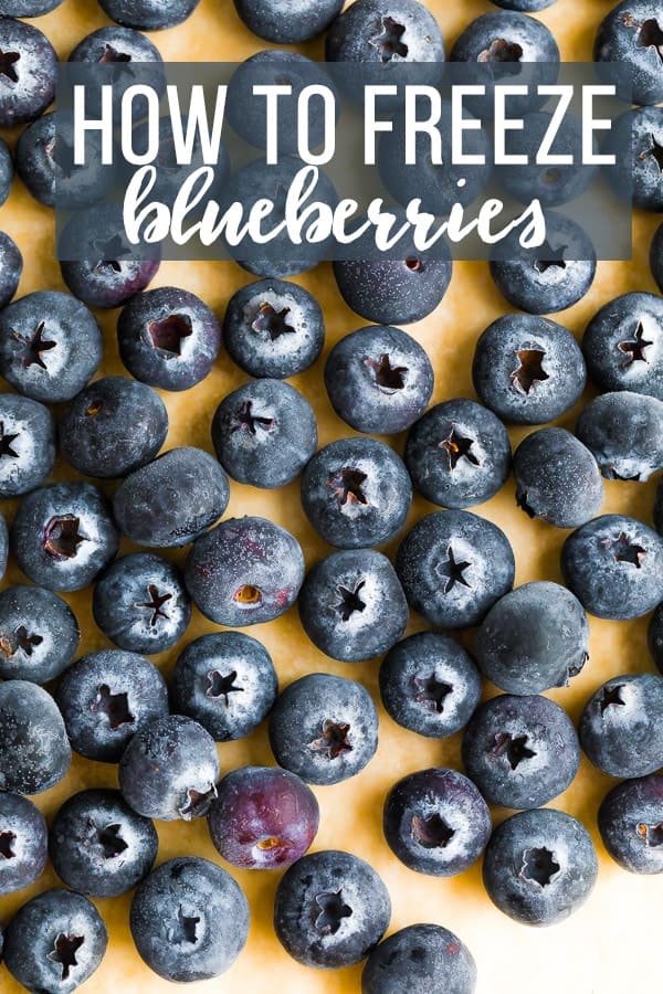 how to freeze blueberries; blueberries on a parchment lined baking sheet