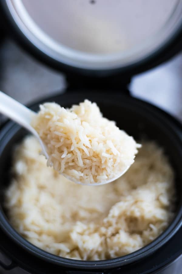 scoop of coconut rice on spoon with rice cooker in background