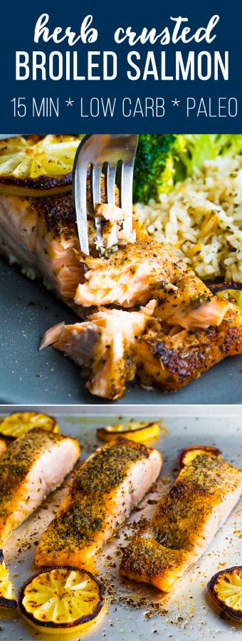 herb crusted broiled salmon