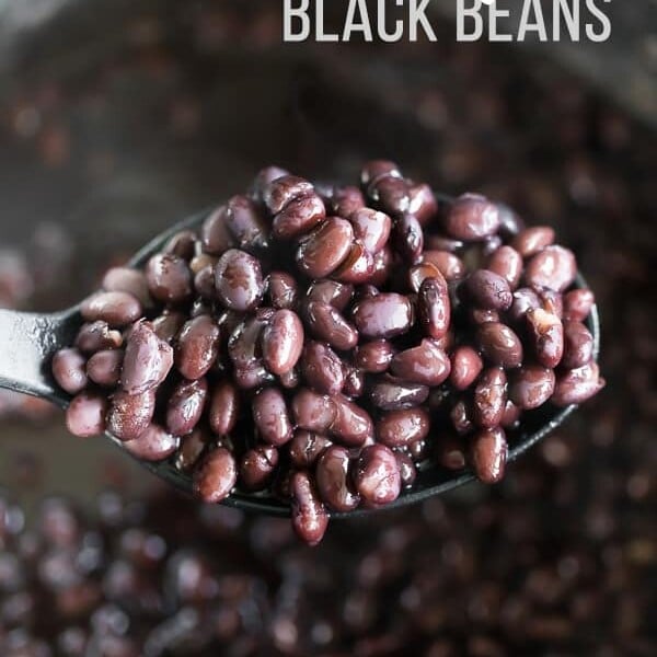Close up shot of black beans on a spoon
