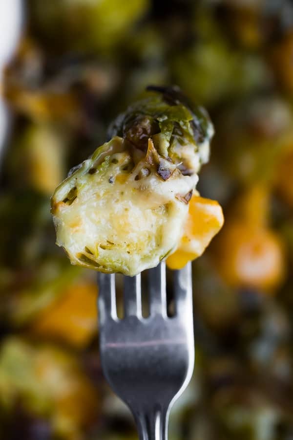 brussels sprouts au gratin on fork