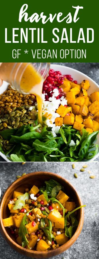harvest lentil salad