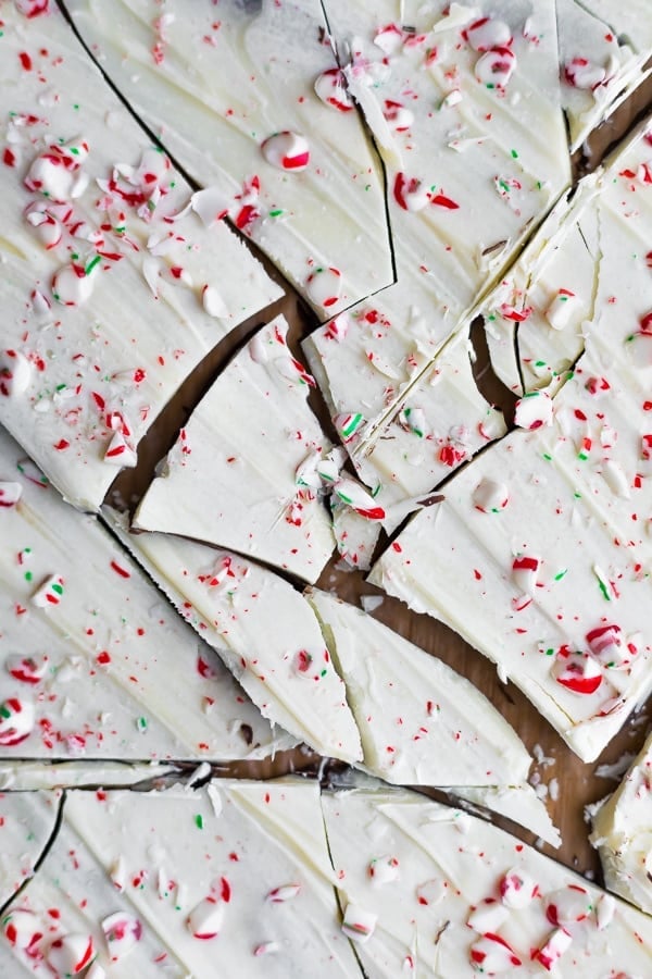 close up view of shattered chocolate peppermint bark