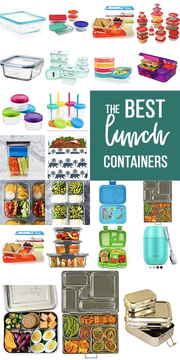 lunch containers for adults