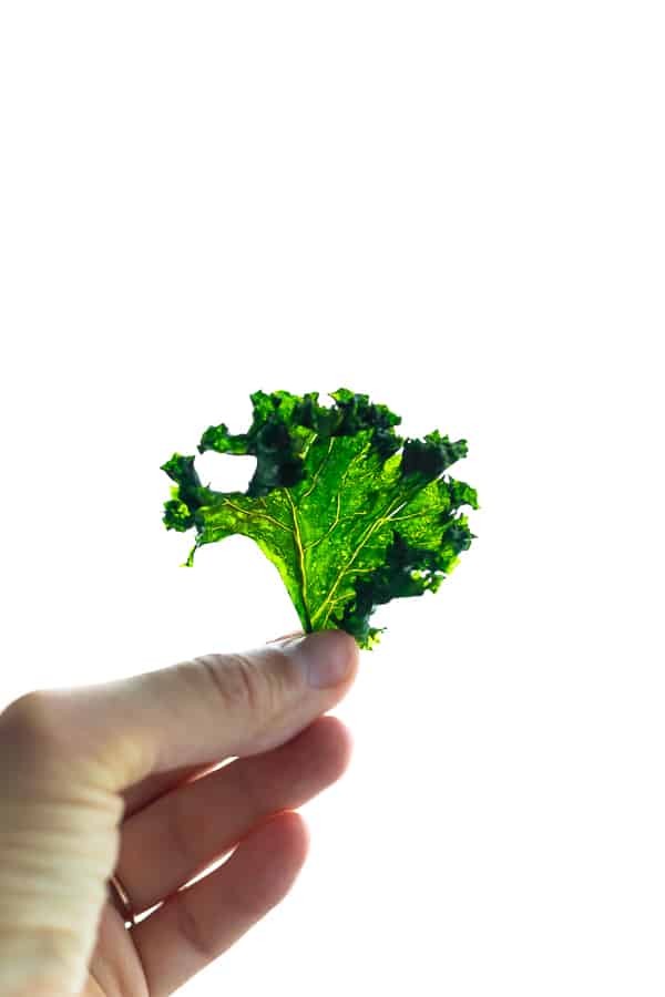 hand holding up kale chips
