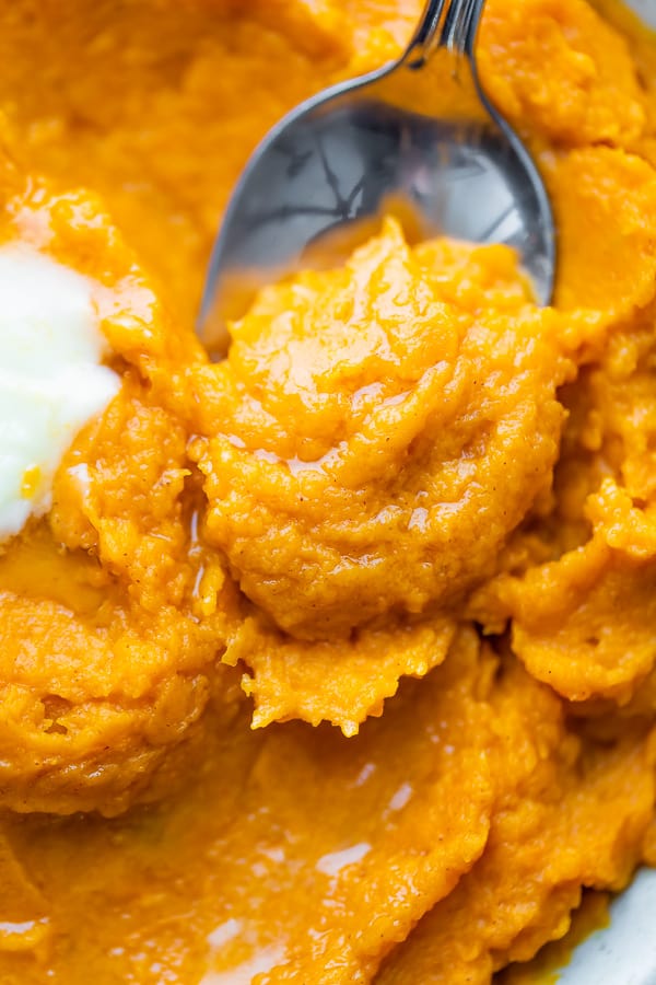 close up view of creamy mashed sweet potatoes on spoon