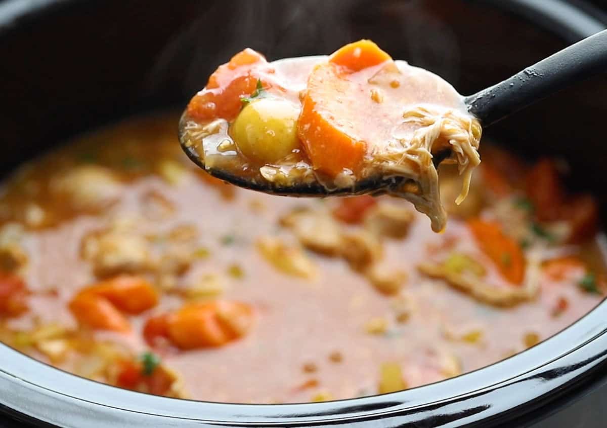 a close up shot of a spoon full of chicken stew