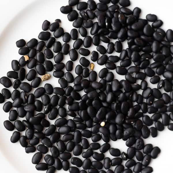 close up of dried black beans showing stones to be picked out