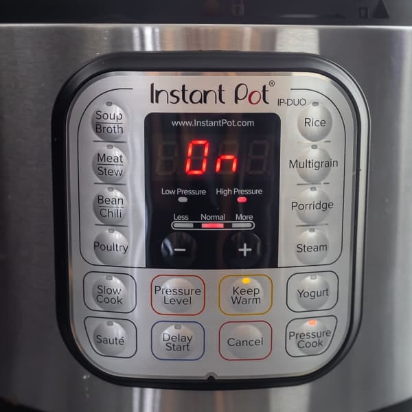close up of the buttons on the Instant Pot face