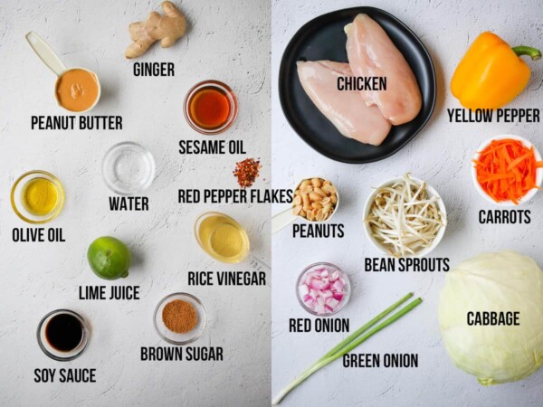 overhead view of ingredients required for chicken satay salad