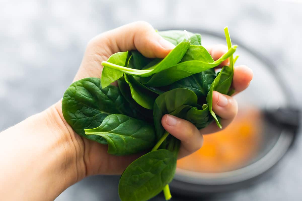 hand holding fresh spinach