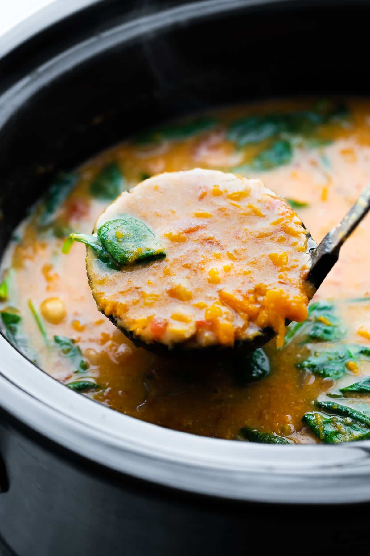 ladle with peanut stew over slow cooker