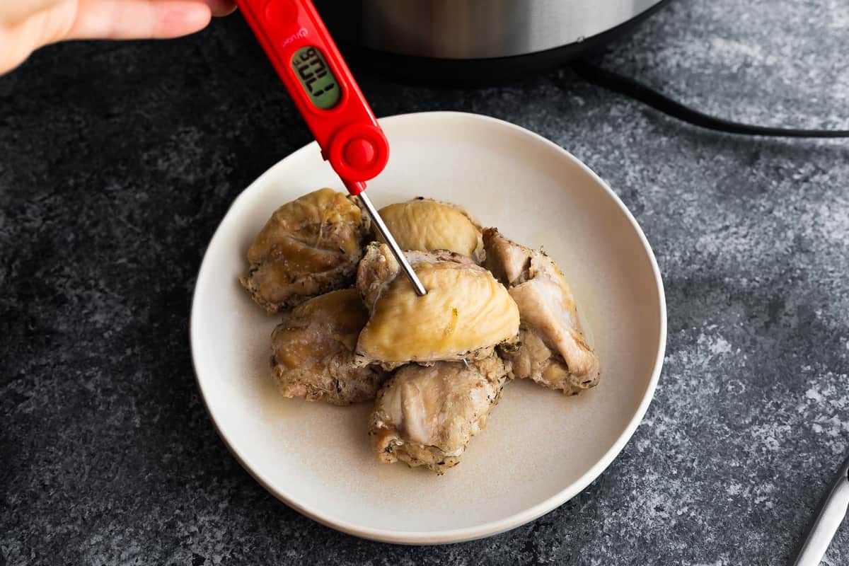 using instant read thermometer to measure internal temperature of chicken thighs