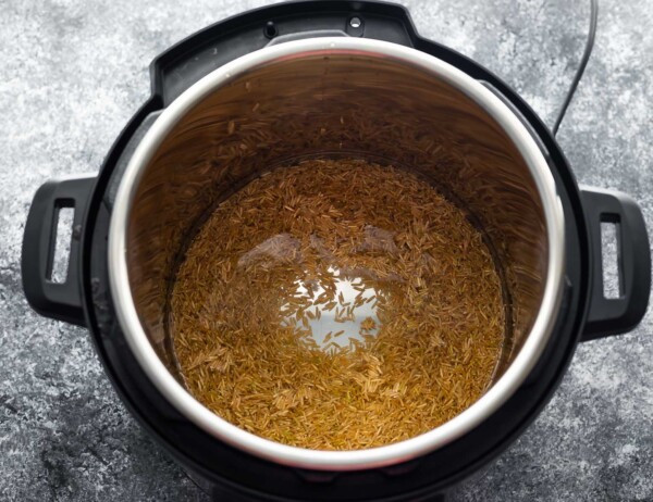brown rice and water in an instant pot before cooking