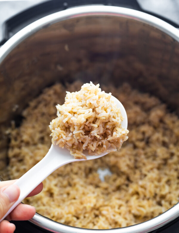 close up of cooked brown rice on rice paddle over instant pot