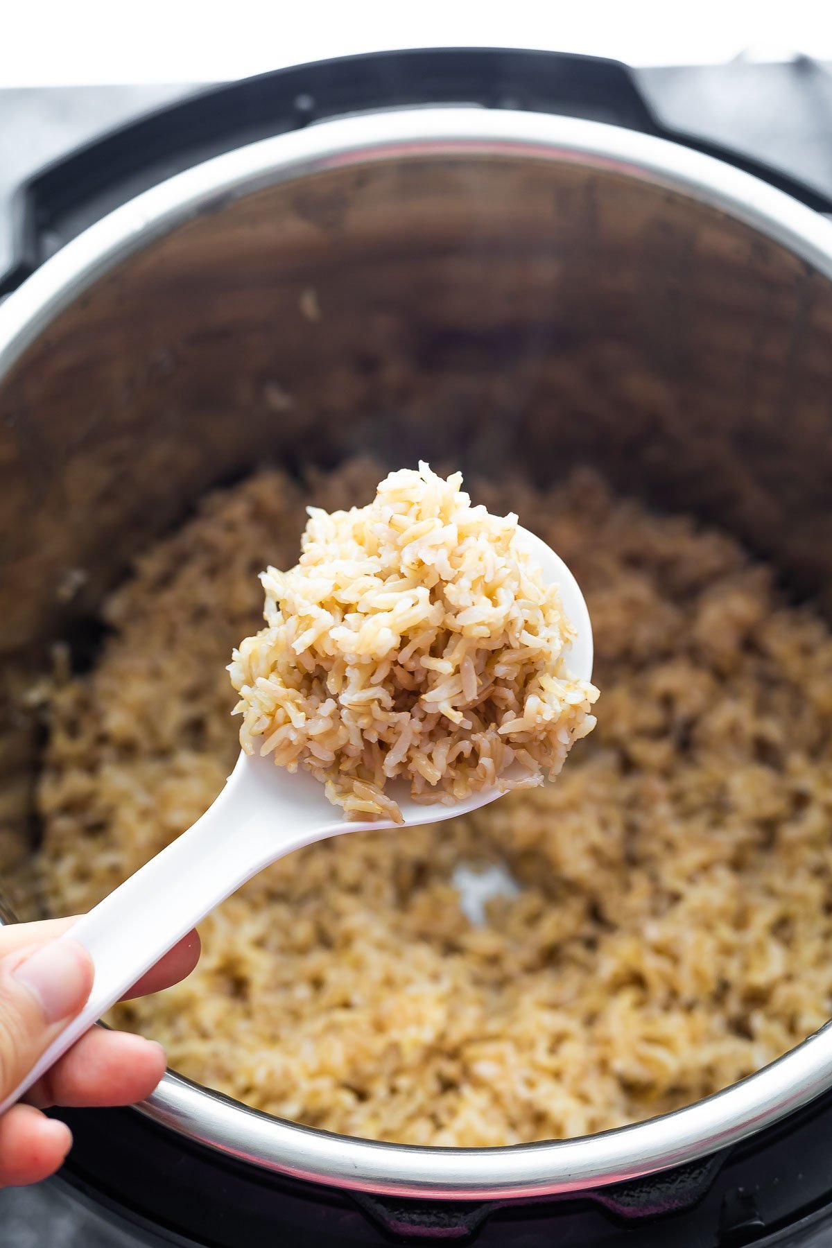 close up of cooked brown rice on rice paddle over instant pot