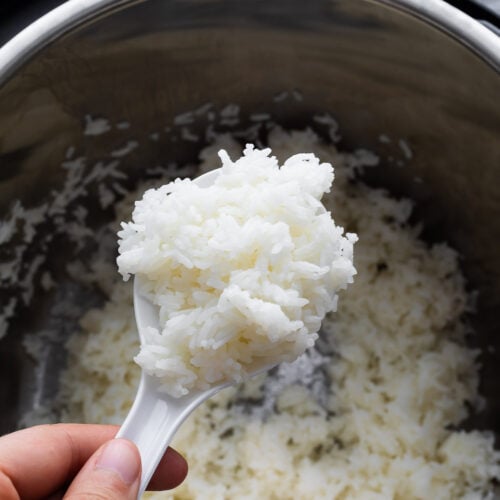 cooked jasmine rice on a rice paddle held above instant pot