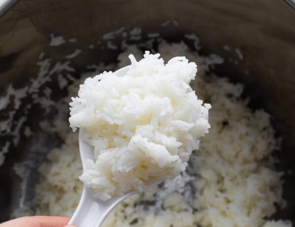 cooked jasmine rice on a rice paddle held above instant pot