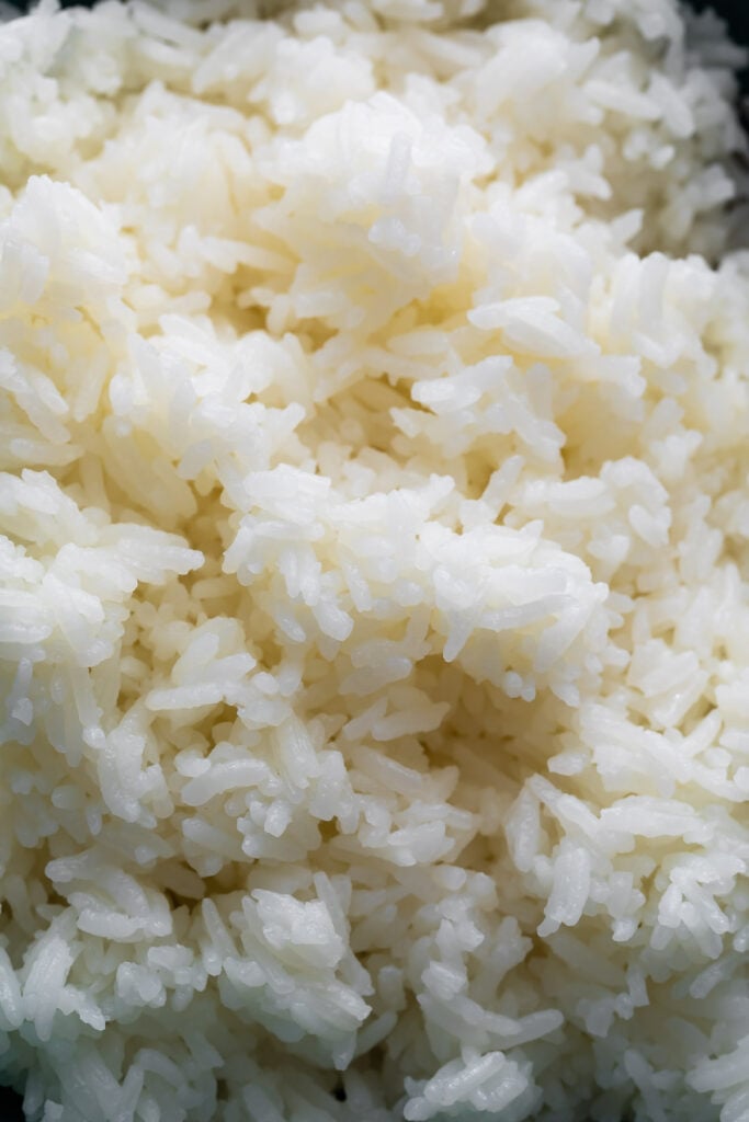close up shot of cooked jasmine rice