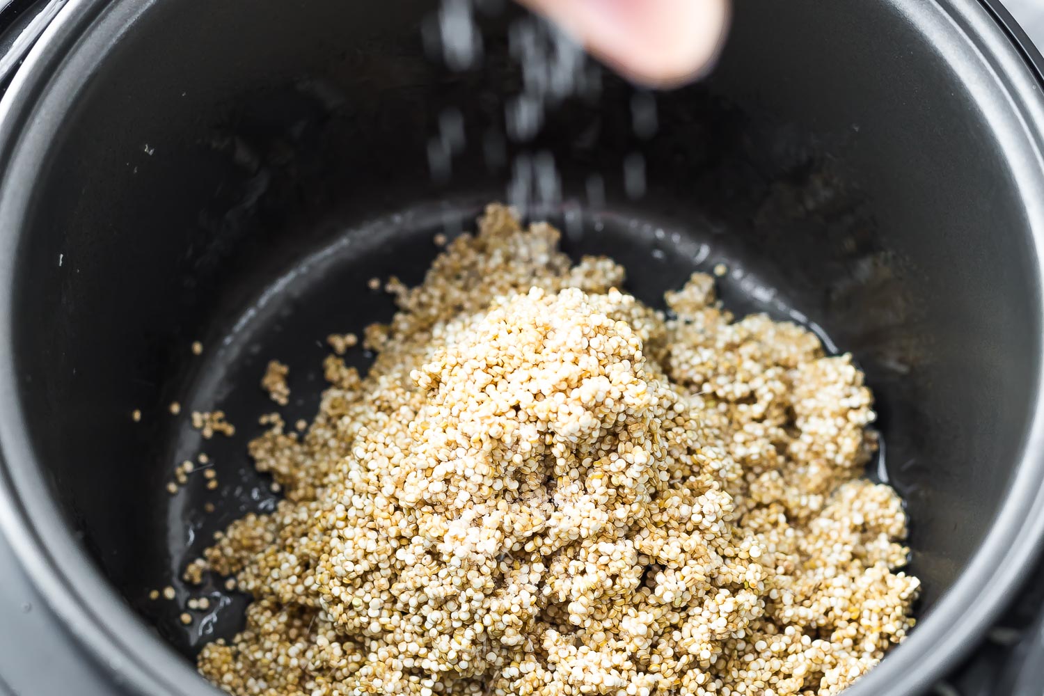 Basic 3-Ingredient Quinoa In A Rice Cooker – Unsophisticook