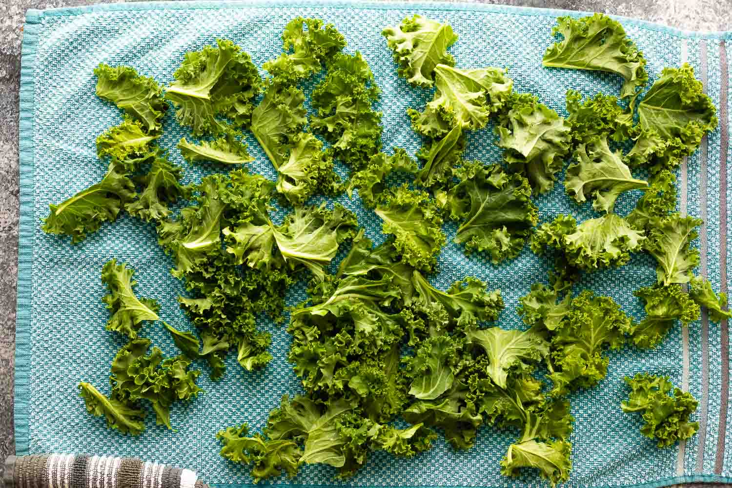 kale broken into bits and spread out on towel
