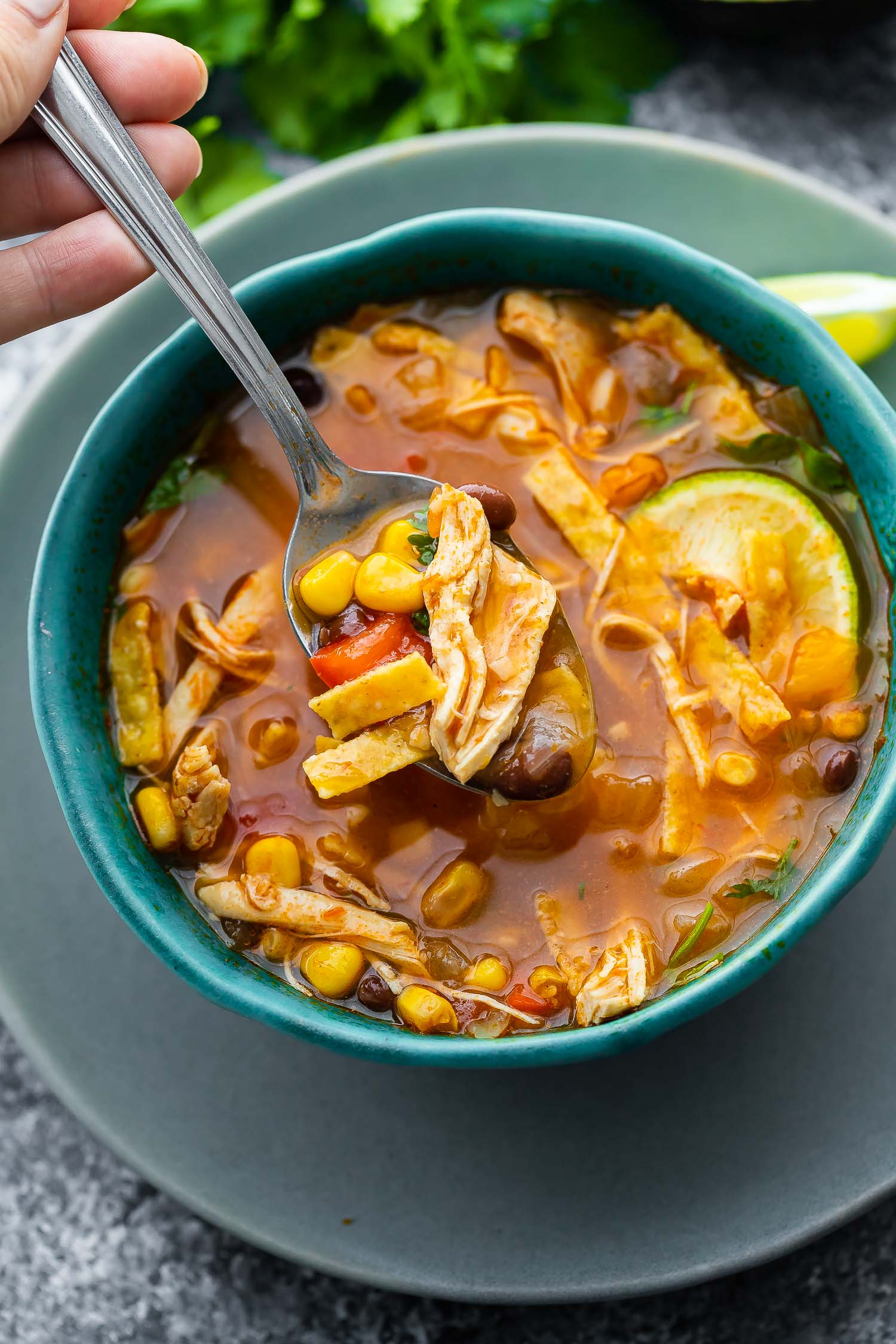 close up view of chicken tortilla soup on a spoon