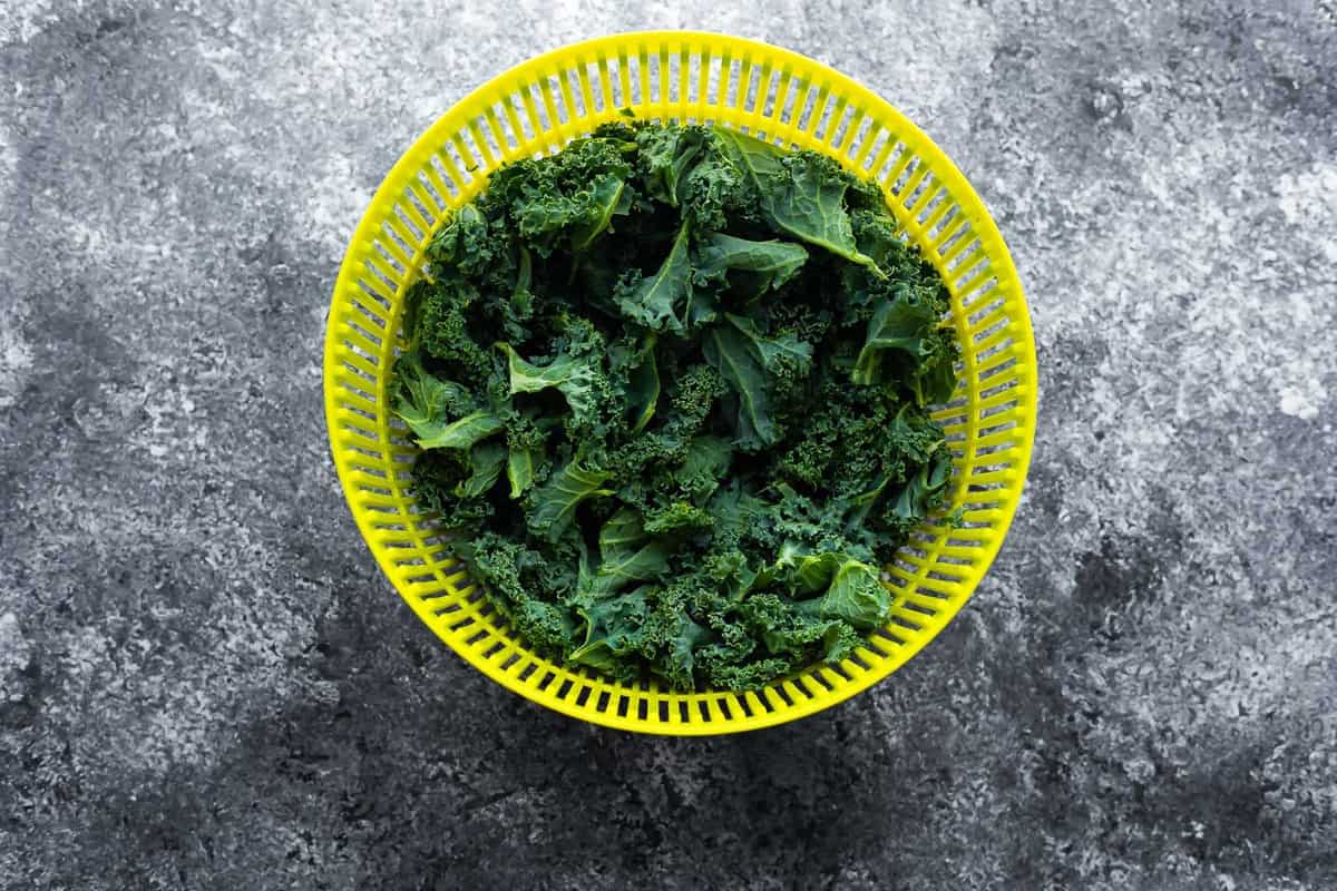 kale in salad spinner