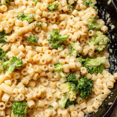 an overhead shot of cream broccoli pasta