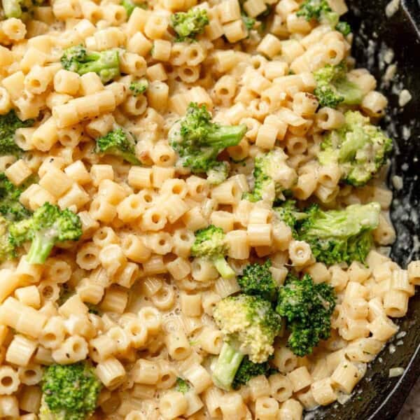an overhead shot of cream broccoli pasta