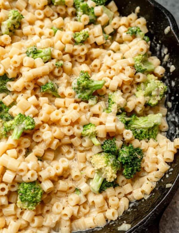 an overhead shot of cream broccoli pasta