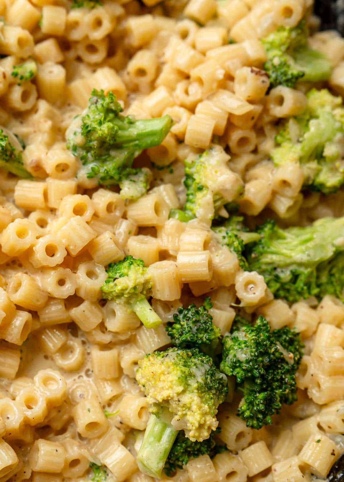 close up of broccoli pasta
