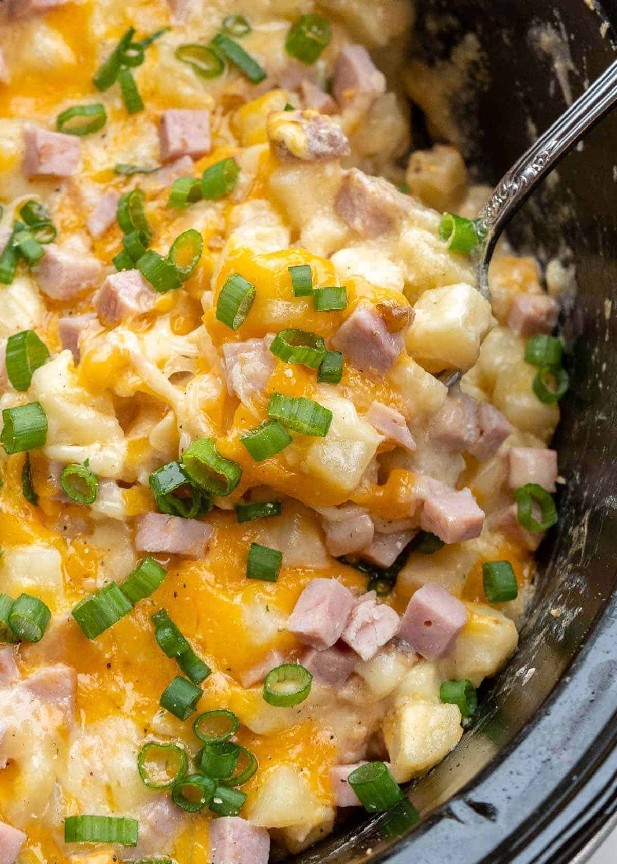 overhead image of hashbrown casserole in a slow cooker
